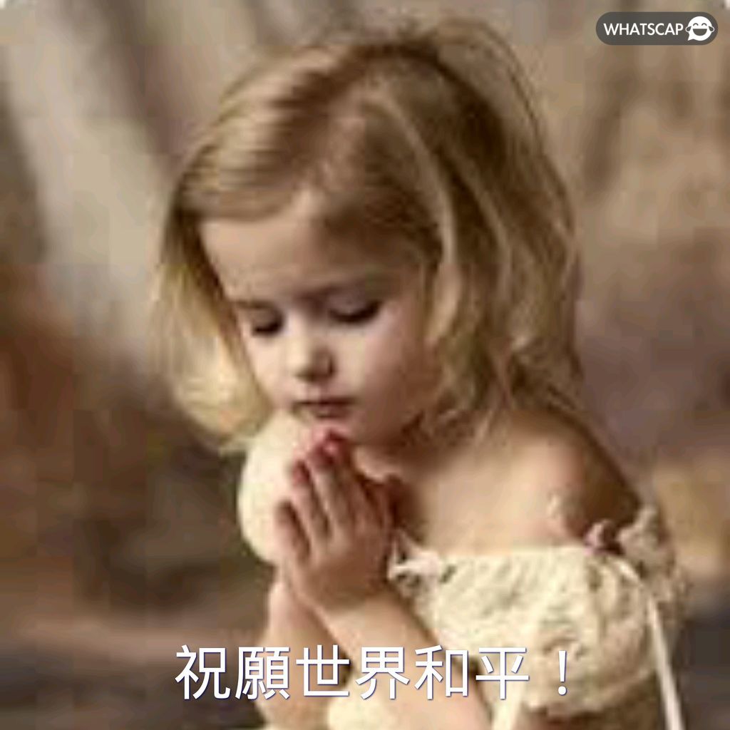 汪明荃,地位稳固,或面临曾志,太阳城娱乐平台,太阳城娱乐官网,太阳城娱乐城