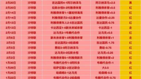 體壇週刊：武磊轉會阿拉維斯传言不屬實
